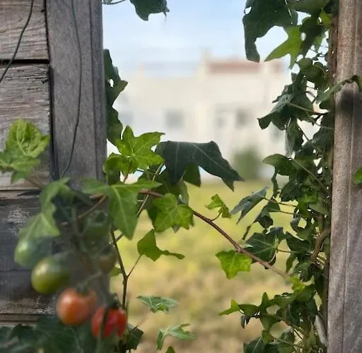 Quinta Felicidade - Sea&surf